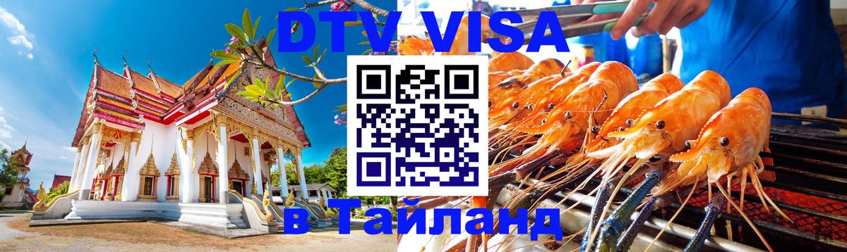 Оформление DTV визы под ключ: стоимость и тарифы, только загранпаспорт - Долгопрудный 